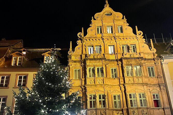 Heidelberg City Tour and Castle Tour combined - The Castle Experience—The Main Event