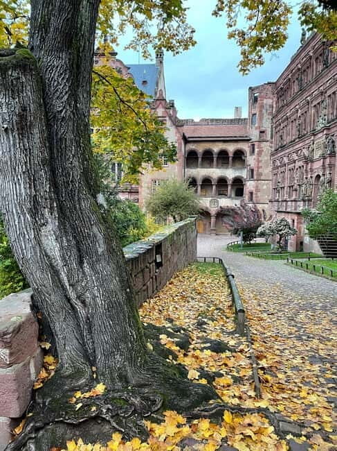 Heidelberg: Discover Heidelberg Castle - experience history up close - The Practicalities: What You Need to Know