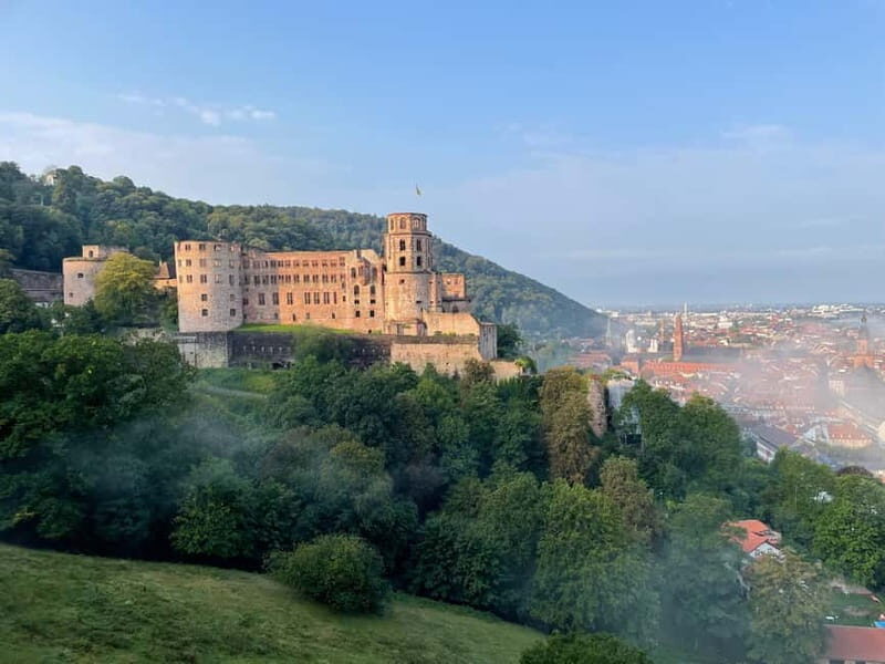 Heidelberg: Discover Heidelberg Castle - experience history up close - Who Should Consider This Tour?