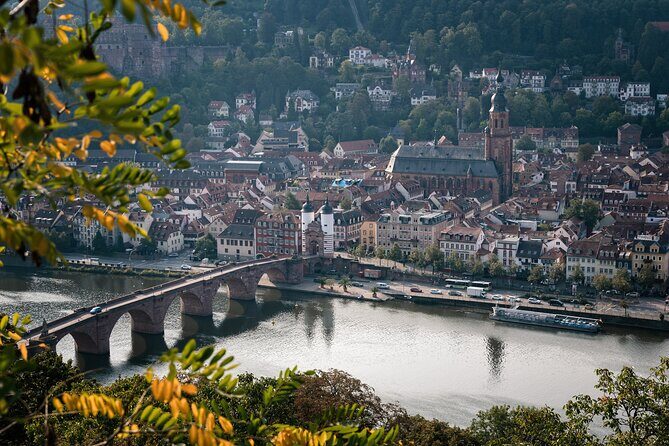 Heidelberg Like a Local: Customized Private Tour - The Value for Money