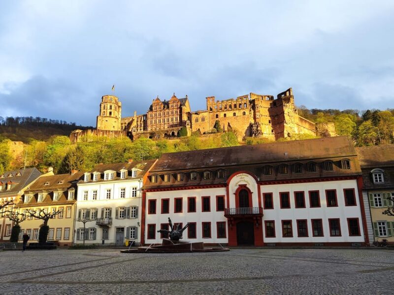 Heidelberg: Private Walking Tour with Local Guide - Who Will Love This Tour?