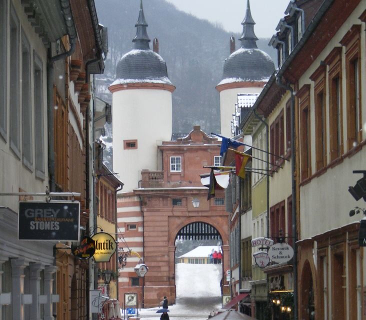 Heidelberg: Scary Tour with Hangmans Daughter - Who Should Consider This Tour?