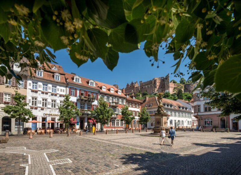 Heidelberg: Walking Tour of the Old Town - What to Expect on the Tour