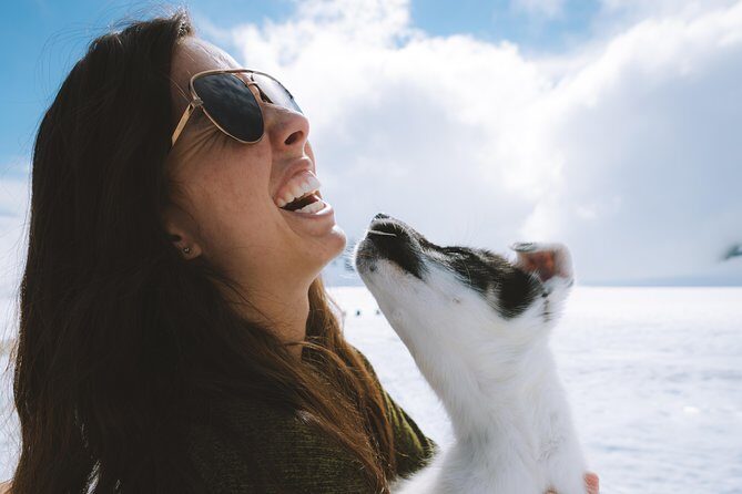 Helicopter Glacier & Dog Sledding Adventure Tour - The Itinerary Breakdown