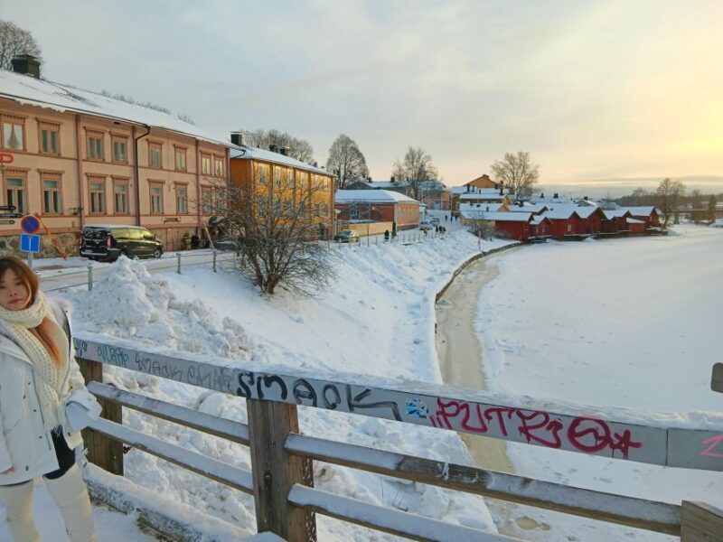Helsinki And Porvoo Tour by Private Car with Personal Guide - Considering the Price