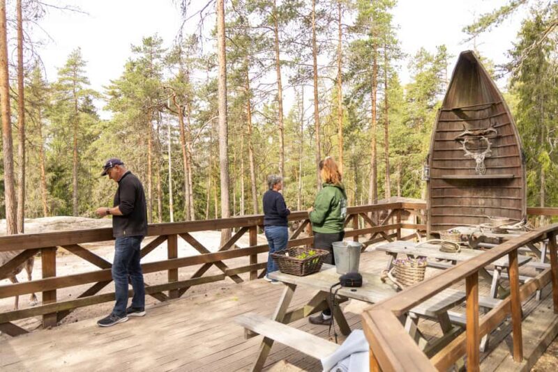Helsinki: Buggy Ride, Reindeer Farm Visit, and Picnic - A Closer Look at the Experience