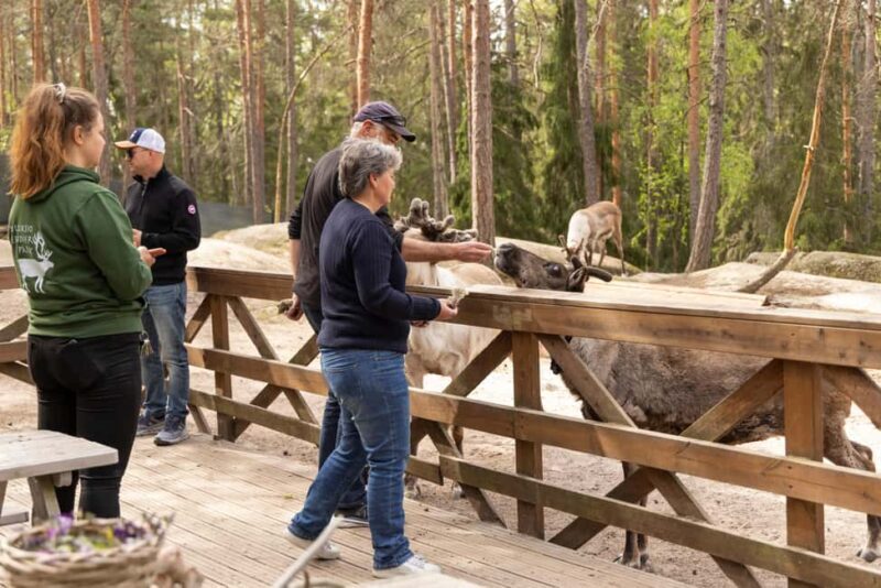 Helsinki: Buggy Ride, Reindeer Farm Visit, and Picnic - Real Guest Perspectives