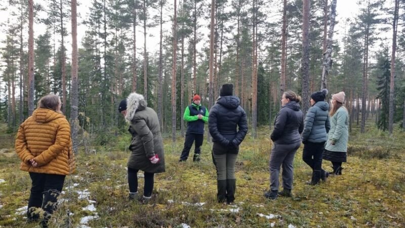 Helsinki: Guided Nature Experience with Campfire and Meal - Exploring the Details of the Tour