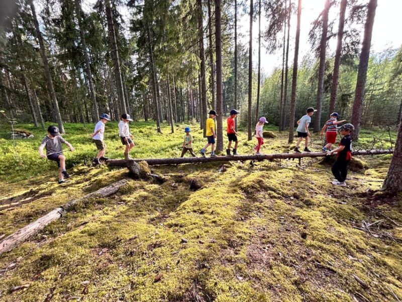 Helsinki: Guided Nature Experience with Campfire and Meal - The Experience in a Nutshell