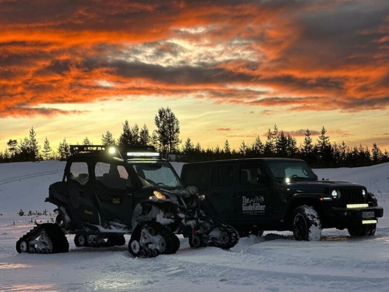 Helsinki Highlights+Nuuksio Buggy Ride+Reindeer farm visit - Transitioning to Nature: Nuuksio National Park