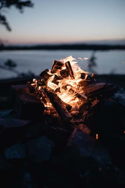 Helsinki: Kayaking Tour - Who Will Love This Tour?