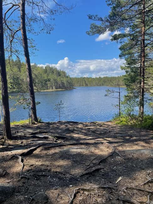 Helsinki: Nuuksio National park hiking with campfire lunch - An Overview of the Experience