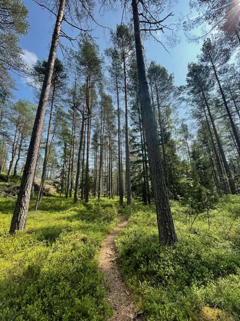 Helsinki: Nuuksio National park hiking with campfire lunch - Who Will Love This Tour?
