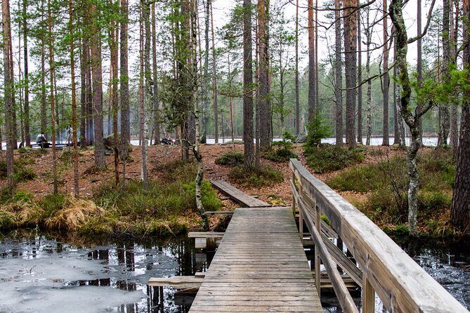 Helsinki: Nuuksio National park hiking with campfire lunch - Why You’ll Love the Experience