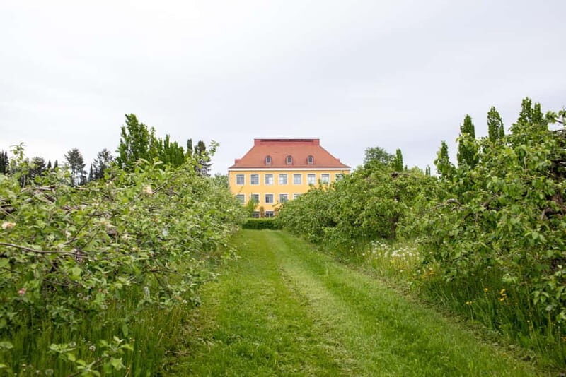 Helsinki: Private Visit to Finnish Berry Winery with Tasting - Key Points