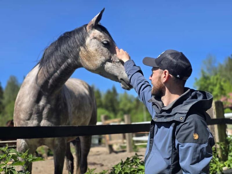 Helsinki: Reindeer Park and Horse Stable Private Tour - Key Points