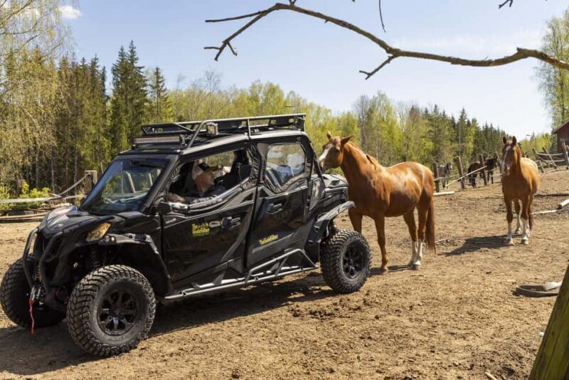 Helsinki: Reindeer Park and Horse Stable Private Tour - Exploring the Finnish Wilderness: What This Tour Offers