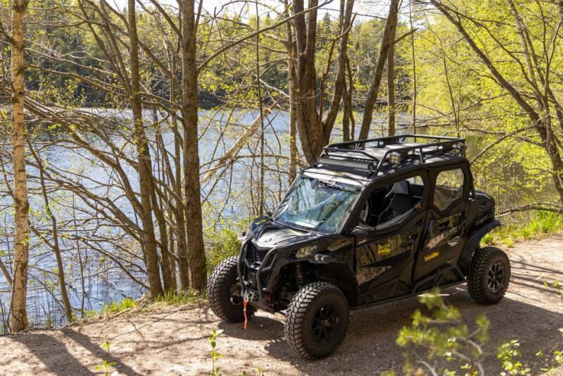 Helsinki: Reindeer Park visit and Buggy Adventure - Exploring the Helsinki: Reindeer Park visit and Buggy Adventure Tour