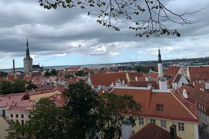 Helsinki to Tallinn Guided Tour with return Cruise tickets - Final Thoughts