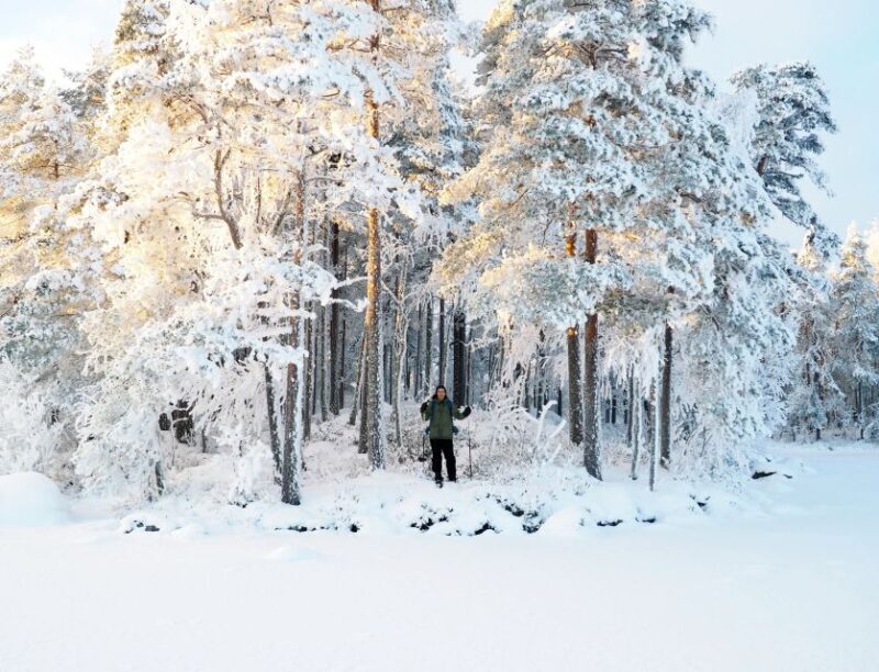 Helsinki: Winter Wonderland Liesjärvi National Park Hike - Frequently Asked Questions