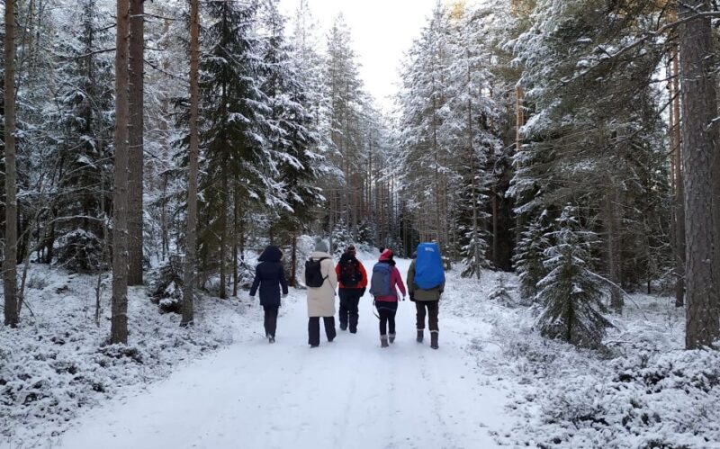 Helsinki: Winter Wonderland Liesjärvi National Park Hike - Final Thoughts