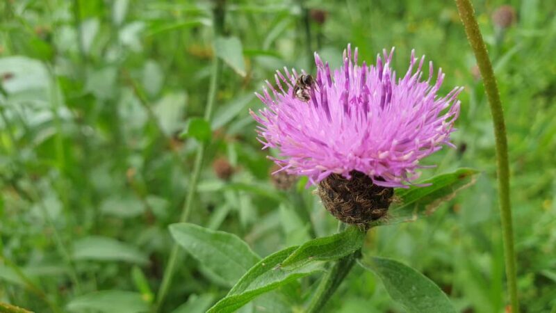Hendaye/Irun 6 km - A Walk Along the Water’s Edge: What to Expect