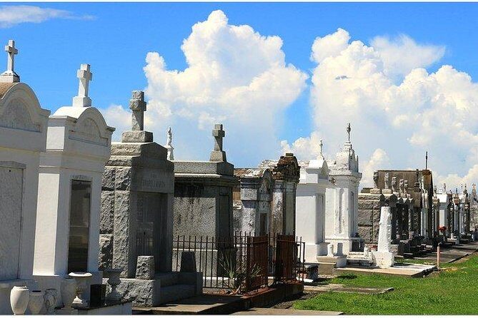 Henley's Private Tours - Guest say "Thoroughly Recommended" - A Detailed Look at the Tour Experience