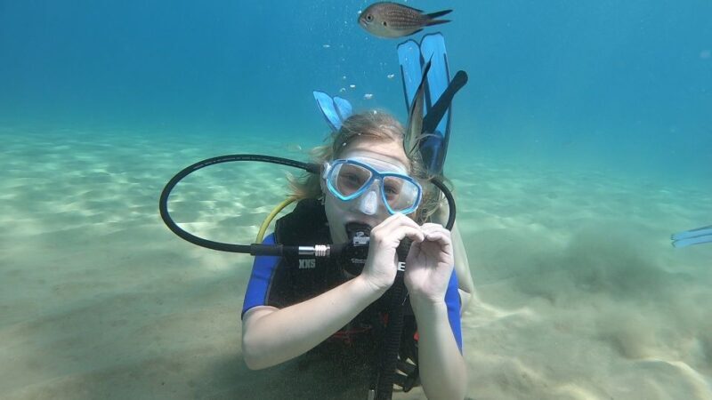 Heraklion: Beginner Scuba Diving Lesson with PADI Instructor - What This Tour Offers and Why It Matters