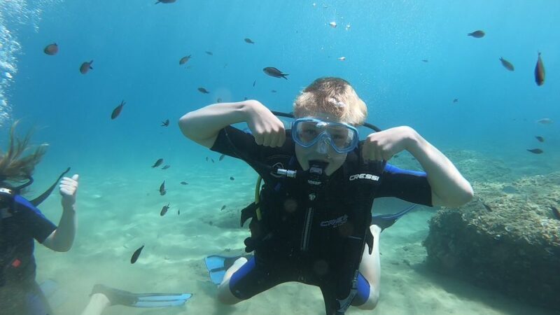 Heraklion: Beginner Scuba Diving Lesson with PADI Instructor - Who Will Love This Tour?