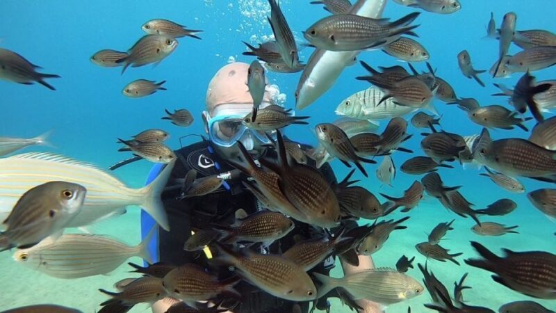 Heraklion: Beginner Scuba Diving Lesson with PADI Instructor - FAQ