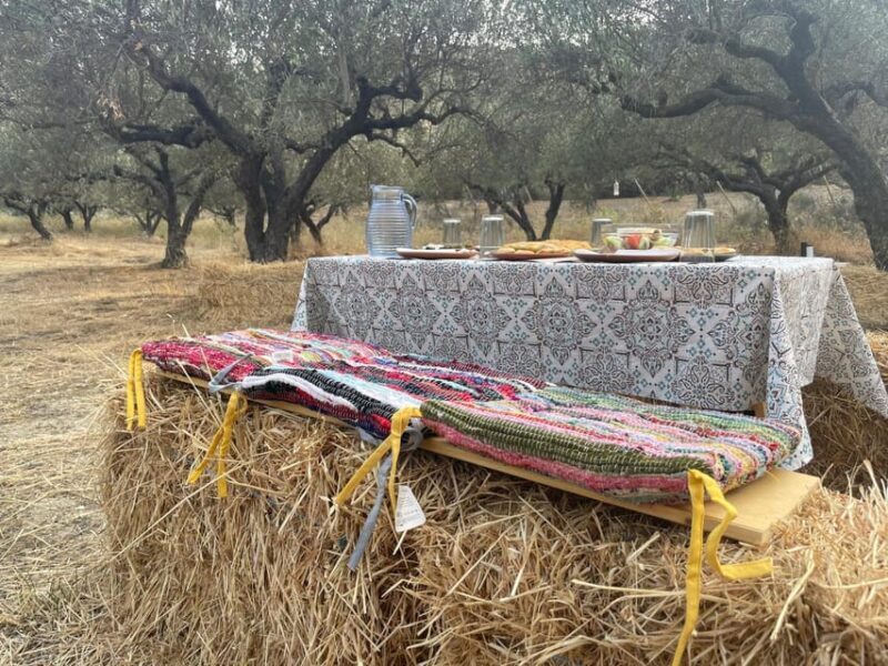 Heraklion: Cretan Farmers Brunch and Olive Grove Tour - An Honest Look at the Heraklion Cretan Farmers Brunch and Olive Grove Tour