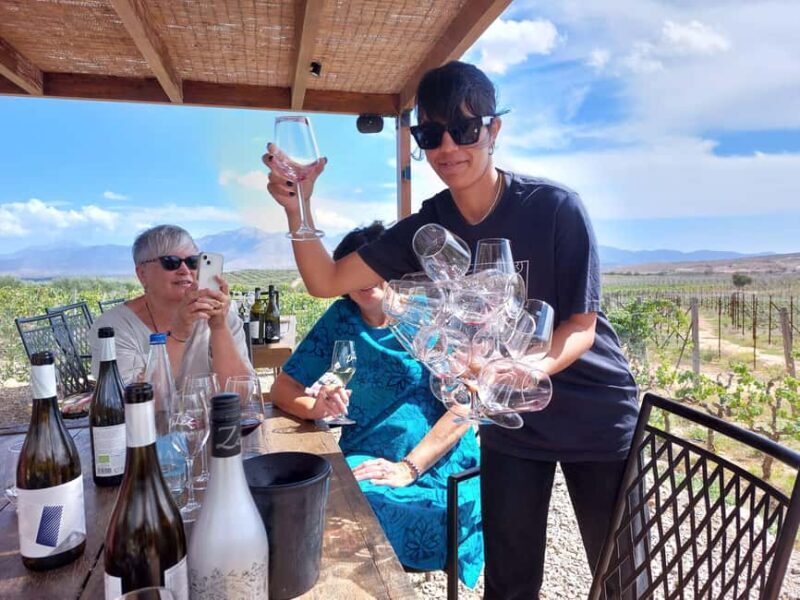 Heraklion: Cretan Wine Tasting Tour & Gourmet Lunch - What Travelers Are Saying