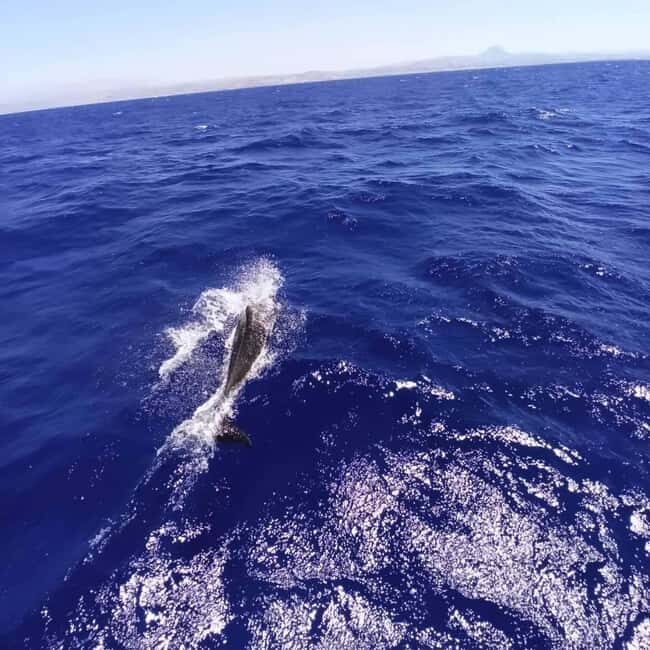 Heraklion: Dia Island Sailing Trip with Lunch - The Pros & Cons