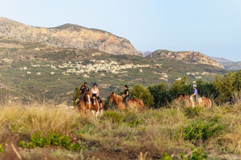 Heraklion: Finikia Horse Riding Tour with Lunch or Dinner - The Itinerary: What You Can Expect