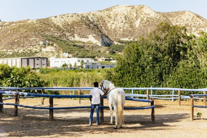 Heraklion: Finikia Horse Riding Tour with Lunch or Dinner - Practical Details & Tips
