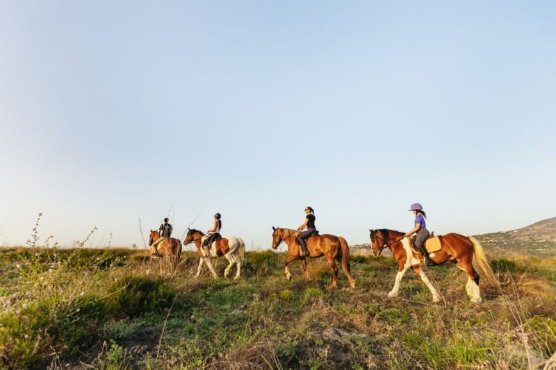 Heraklion: Horse Ride in the Cretan Mountains - Setting the Scene: What to Expect from the Tour