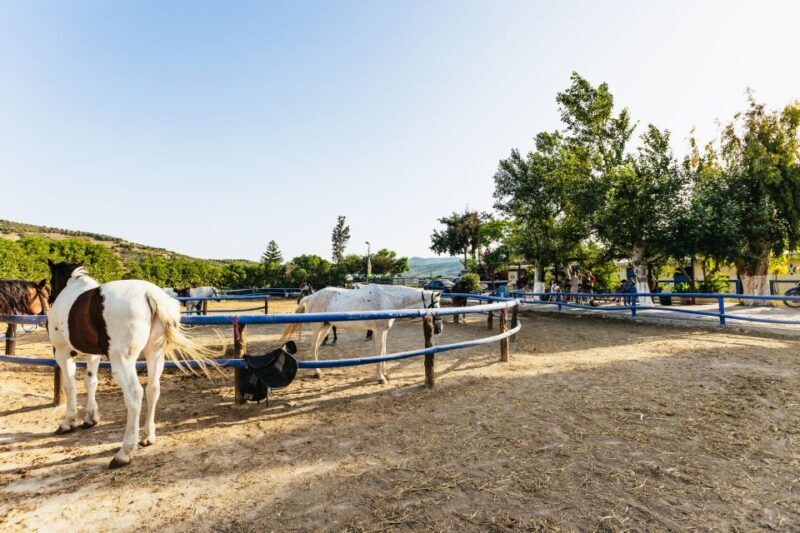 Heraklion: Horse Ride in the Cretan Mountains - The Practicalities: The Itinerary and Whats Included