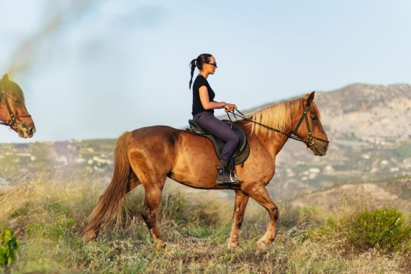Heraklion: Horse Ride in the Cretan Mountains - Who Should Consider This Experience?