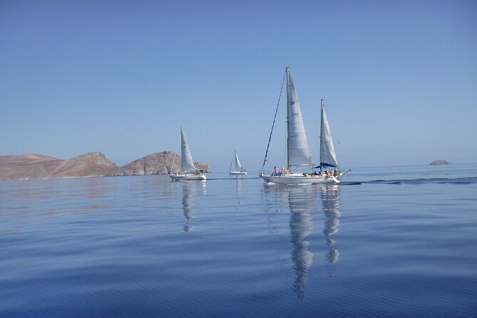 Heraklion: Nature Reserve Full day sailing to Dia Island & Lunch - Price and Value