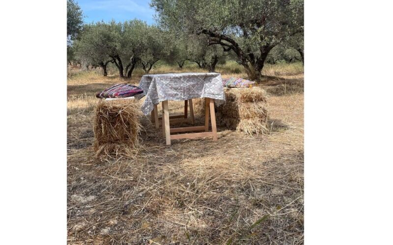 Heraklion :Olive & Dragon Farm Tour & Cretan Farmers Brunch - What You Can Expect from This Tour