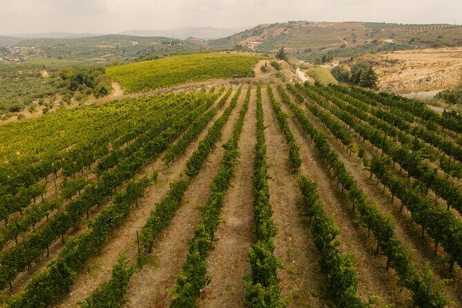 Heraklion Private Half-Day Gastronomy Diaries Experience in Lyrarakis Winery - The Sum Up