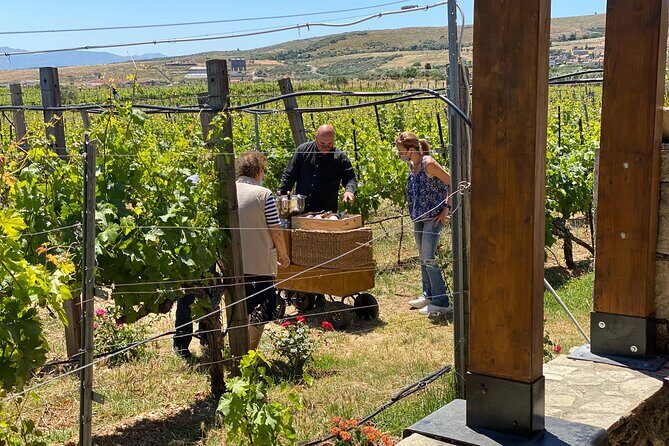 Heraklion Private Half-Day Wine Tasting Tour in Lyrarakis Winery - FAQ