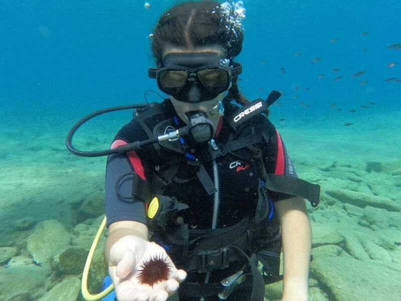 Heraklion: Scuba Diving Experience for Beginners - Timing and Logistics