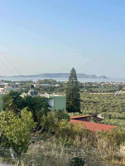 Heraklion: Sunset BBQ in the Olive Grove - Final Thoughts