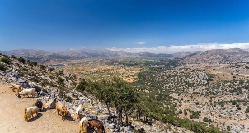 Heraklion: Sunset Safari with Dinner & Prosecco - Key Points