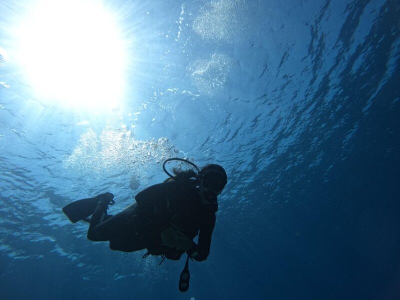 Heraklion: Try Scuba Diving For Beginners (1 dive) - Detailed Look at the Experience
