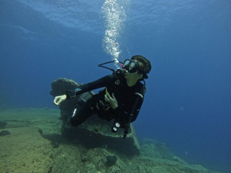 Heraklion: Try Scuba Diving For Beginners (1 dive) - The Underwater Exploration