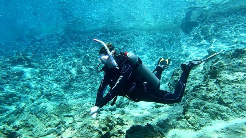 Heraklion: Try Scuba Diving For Beginners (1 dive) - Post-Dive and Return