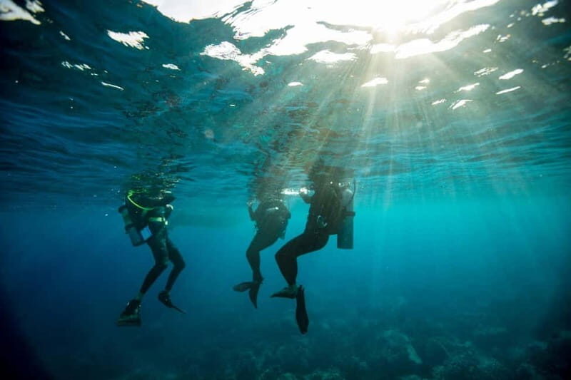 Heraklion: Try Scuba Diving - Authentic Perspectives from Previous Participants