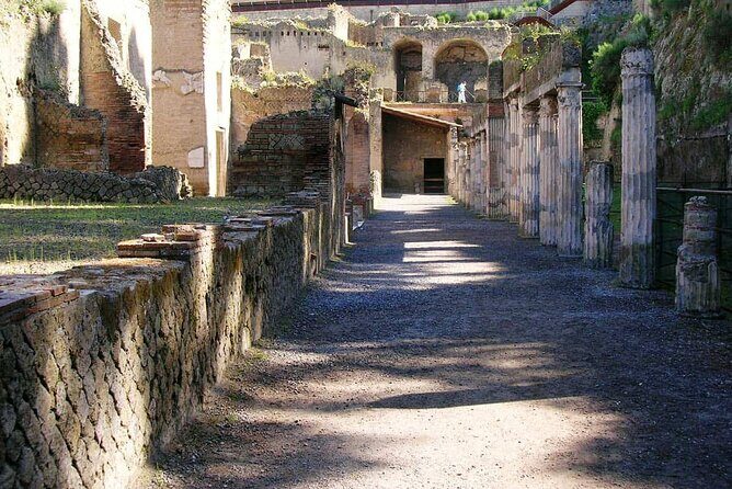 Herculaneum Archaeological Private Tour - What to Expect on the Herculaneum Archaeological Private Tour